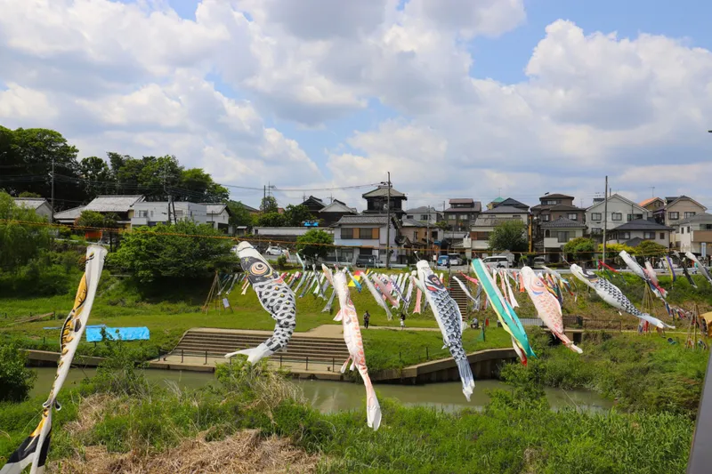 ふじみ野市の福岡河岸記念館とセットにこいのぼりを撮影した写真