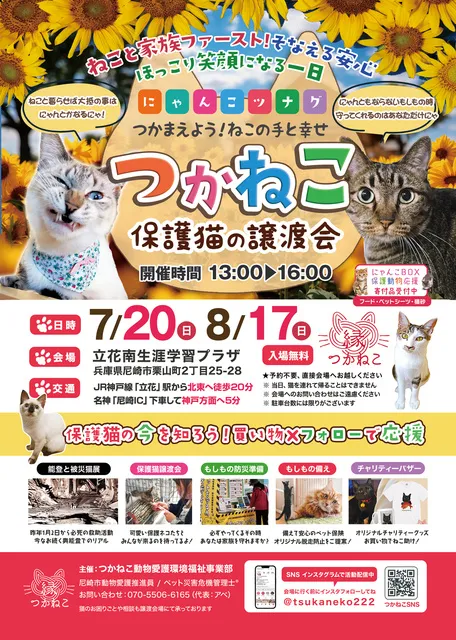 つかねこ譲渡会＆パネル展・チャリティーグッズ販売（8月）