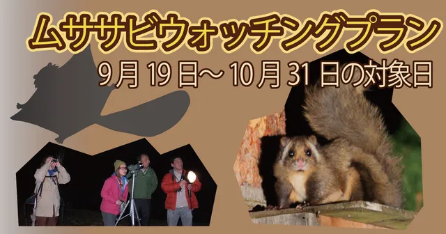 ムササビウォッチングプラン