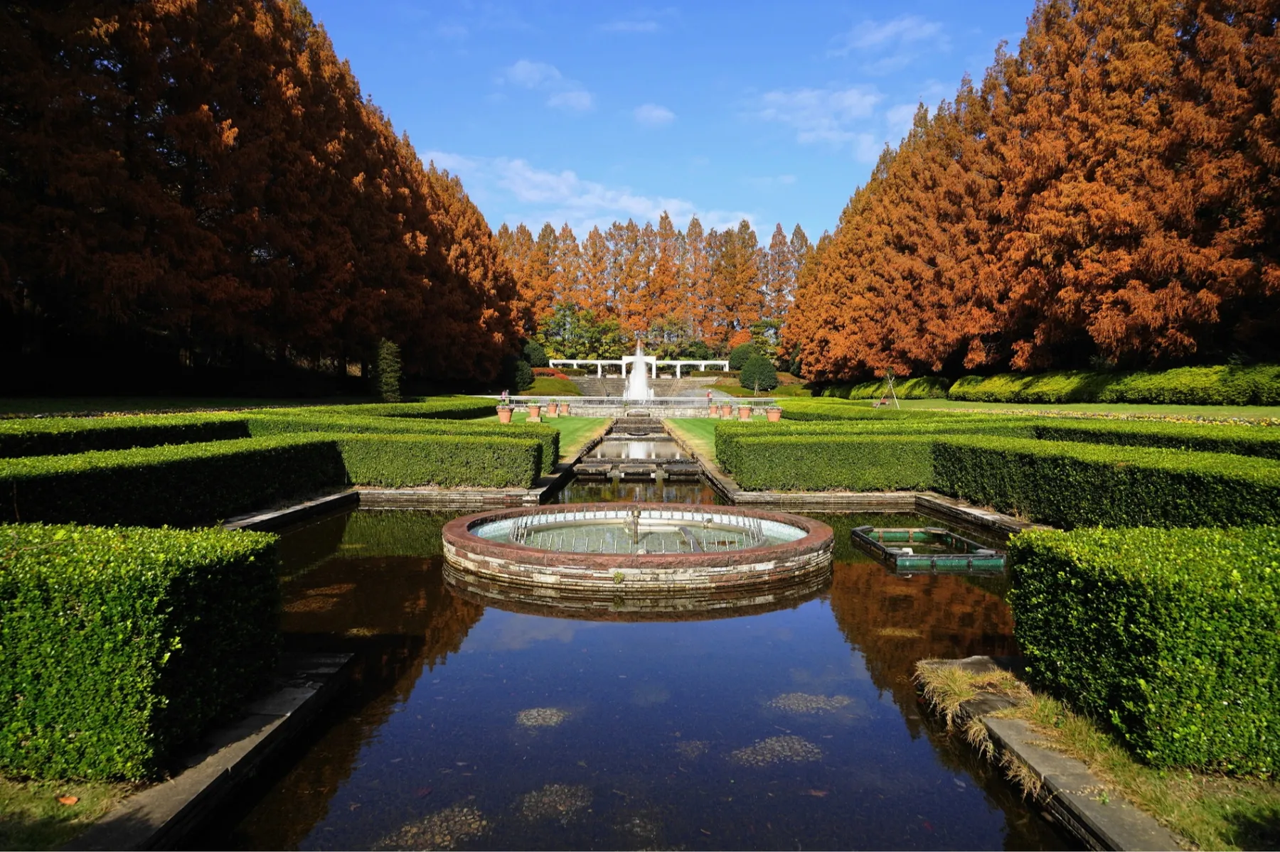 神奈川県立相模原公園の紅葉情報_1