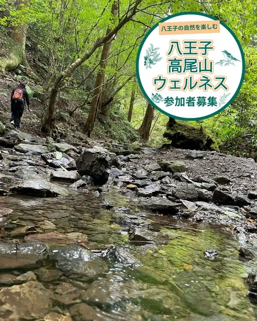 八王子ハイキングガイドツアー「高尾山の春を楽しもう」