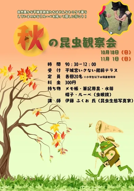 秋の昆虫観察会_1