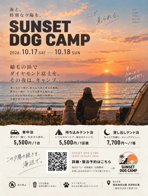 sunset dog camp