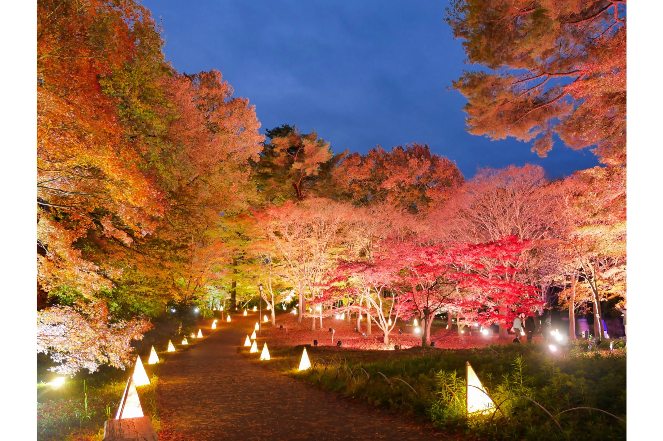 ぷうあ「紫陽花りリース~虹」「森のひと時~紅葉の中で」 二名良日さんによるアンティークカラーの六甲山秋あじさいリース