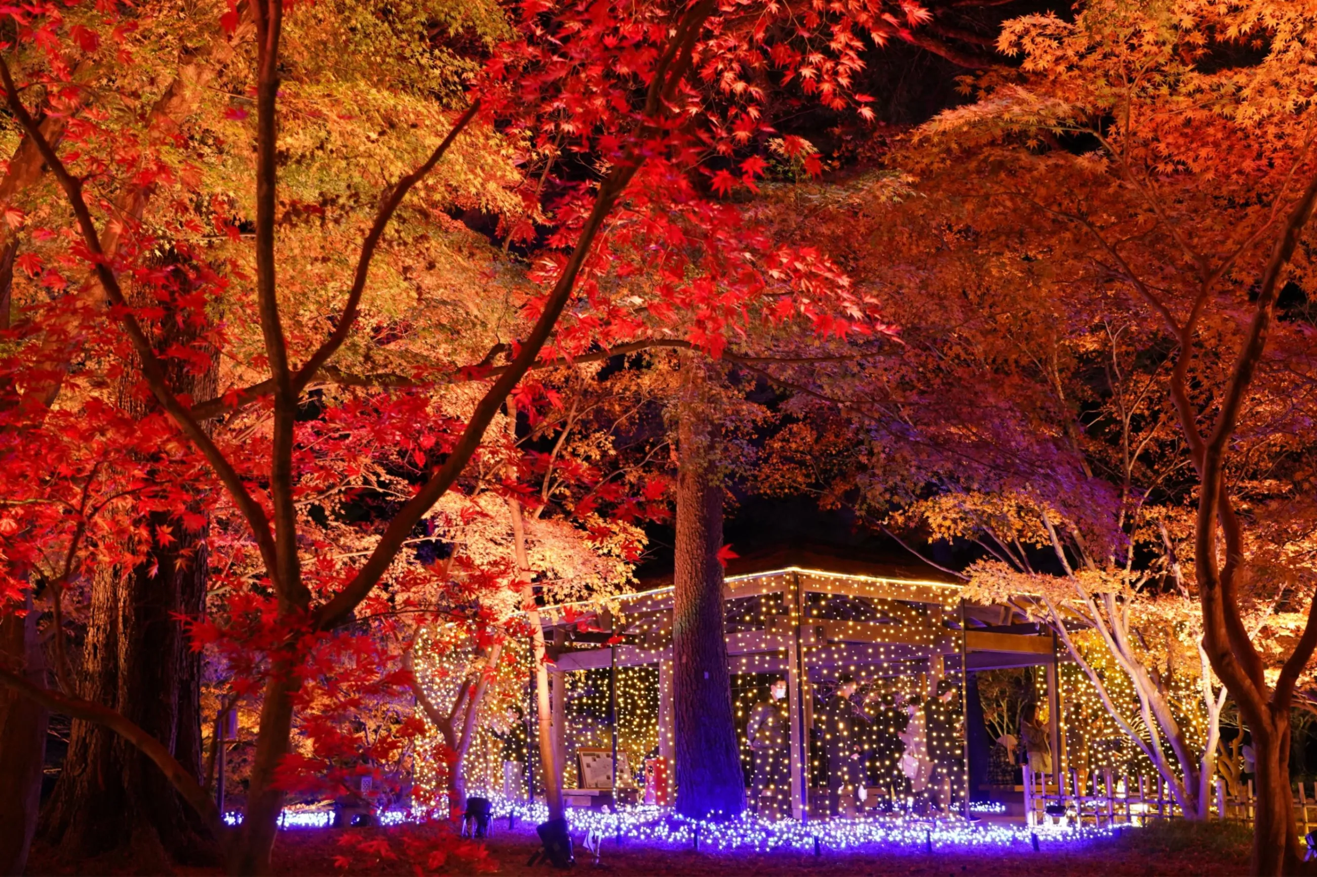 【一点もの】ゆるです☆紅葉のお祭り autumn🍁