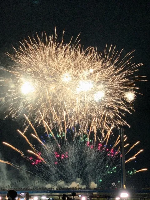 第45回いたみ花火大会_1