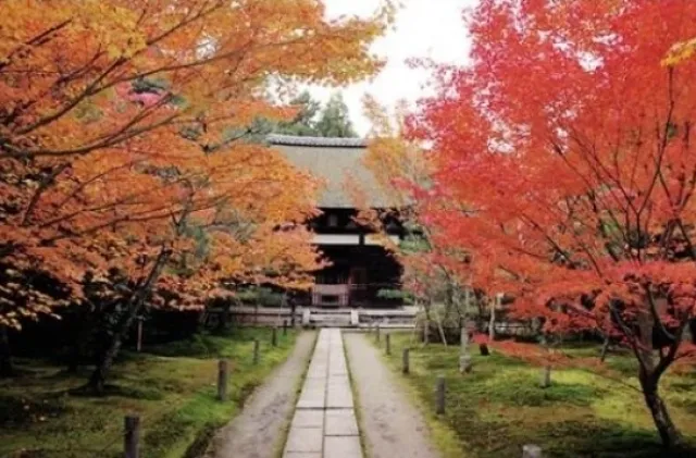 【紅葉・見ごろ】一休寺