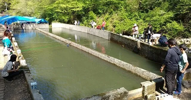 ニジマス釣りとその場で塩焼き
