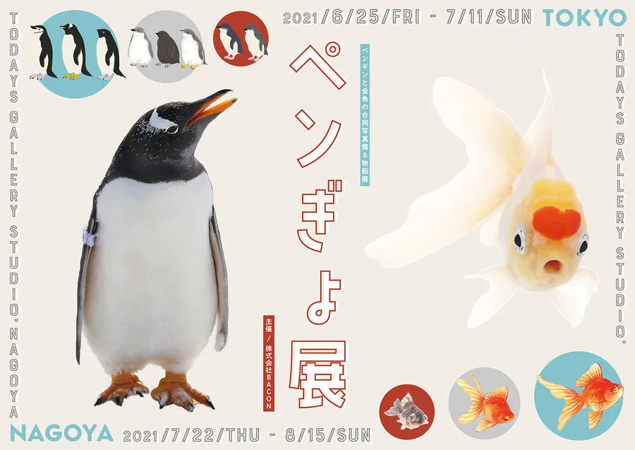 ペンギンと??の合同写真展＆物販展「ペンぎょ展 2021」