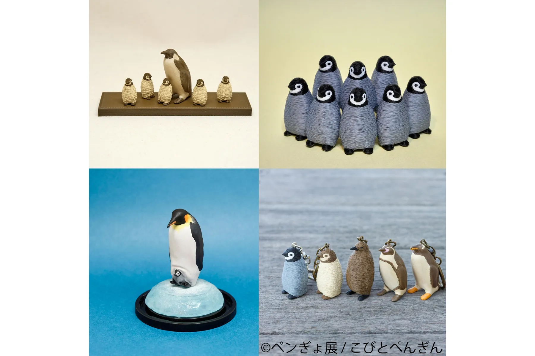 ペンギンと金魚の合同写真展＆イラスト物販展「ペンぎょ展 2026」_12