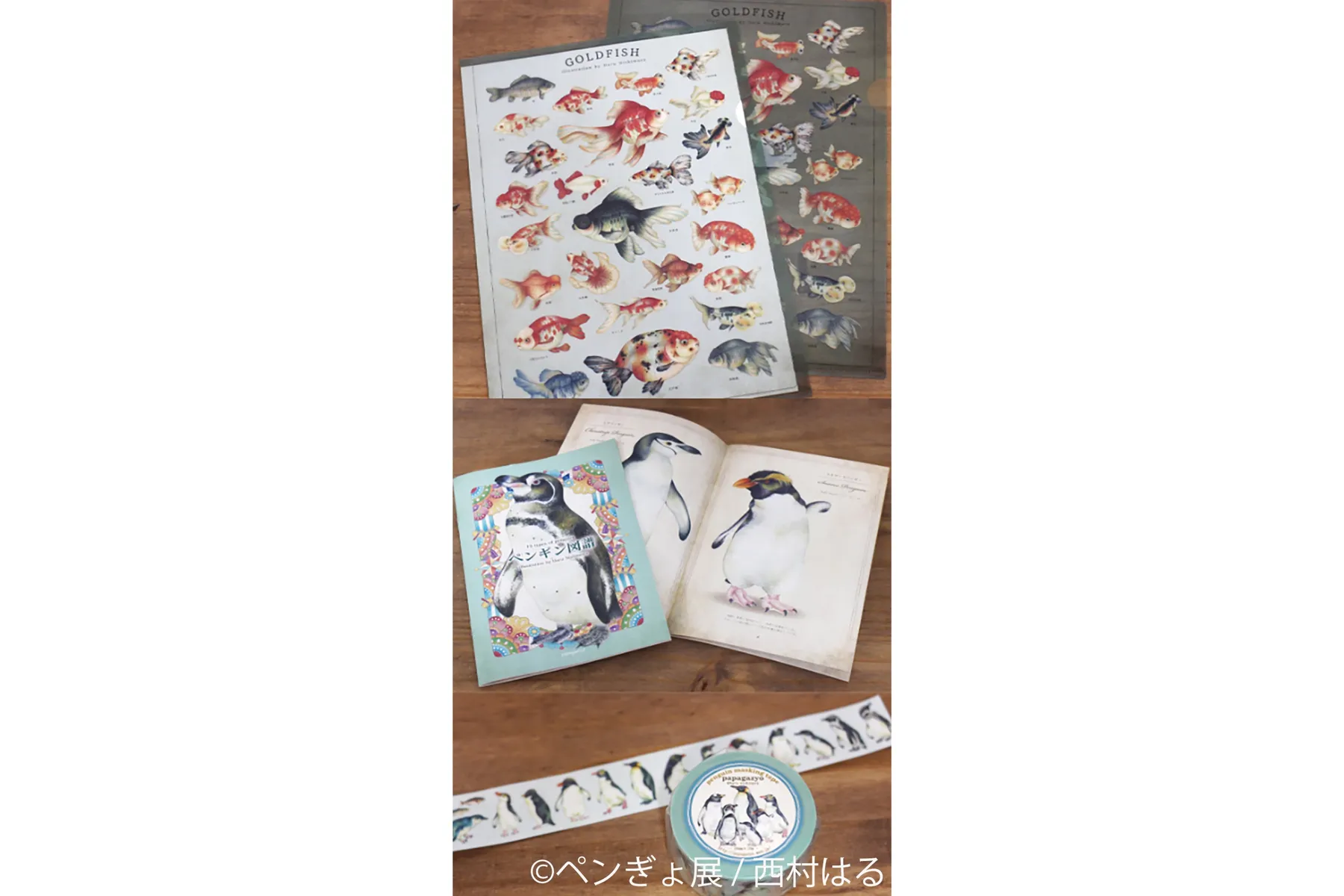 ペンギンと金魚の合同写真展＆イラスト物販展「ペンぎょ展 2026」_16