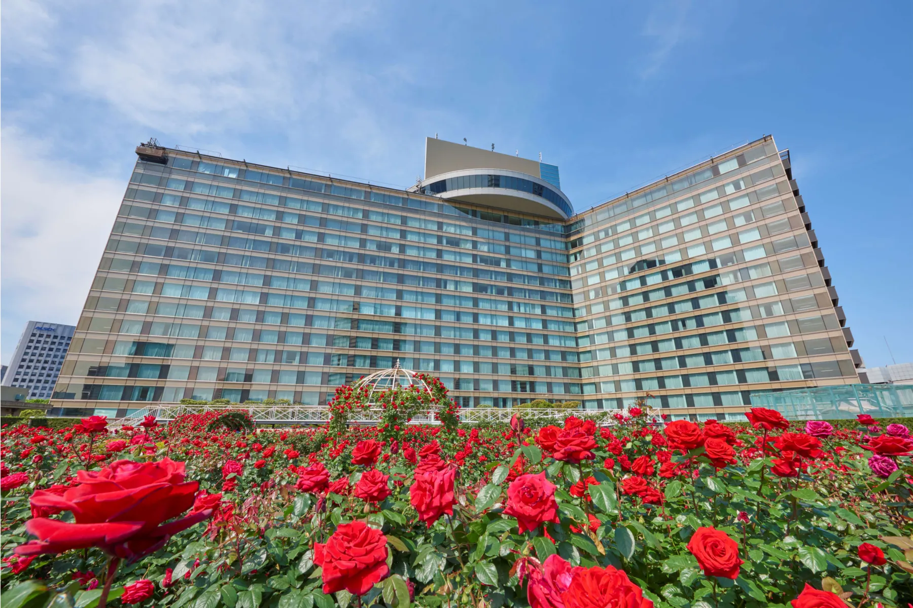 Red Rose Garden Special Month_1