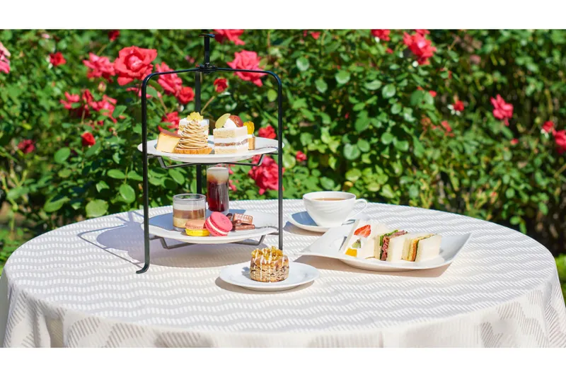 Red Rose Garden Special Month_6