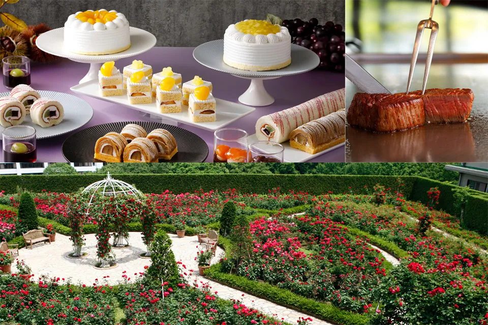 Red Rose Garden Special Month_7
