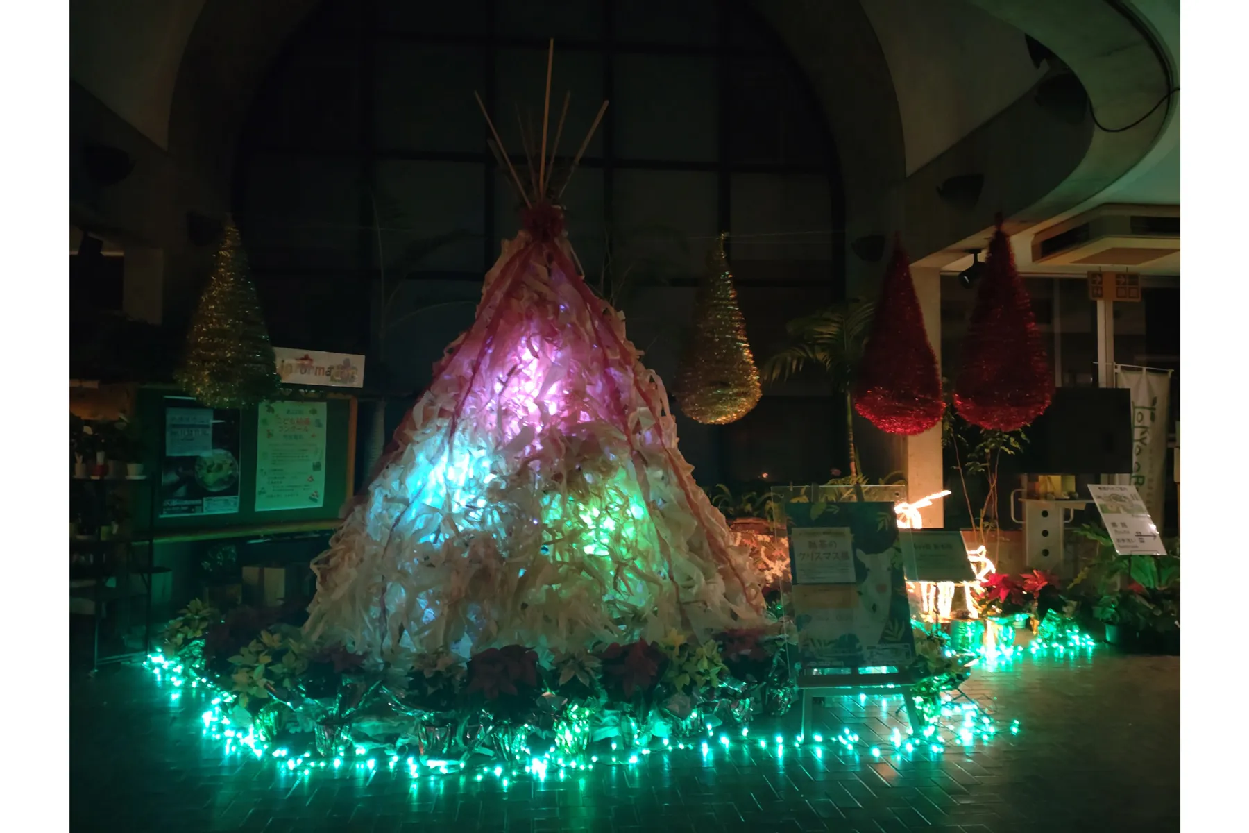 熱帯のクリスマス展_2