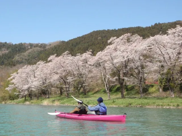 お花見穴場・長瀞藤岡周辺で「桜・お花見カヌーカヤック体験」アウトドア 自然体験