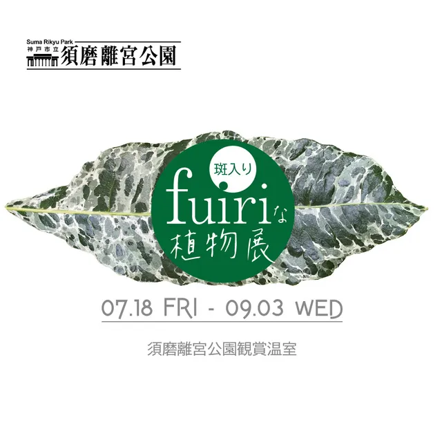 斑入りな植物展