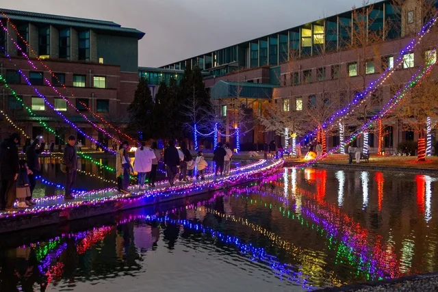 KUT＋illumination'25