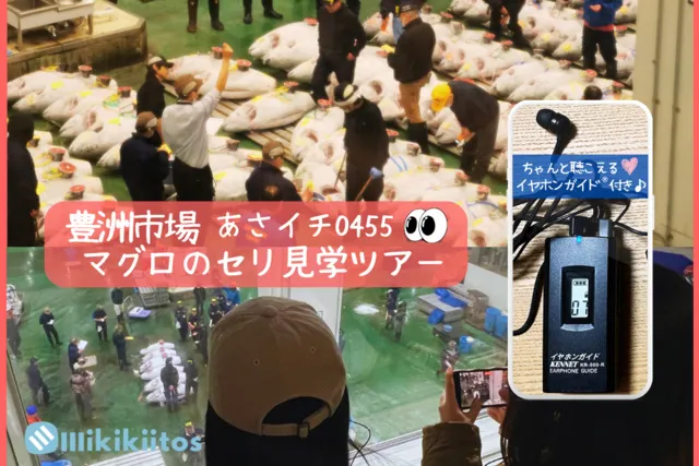 豊洲市場マグロのセリ見学ツアー 朝イチ0455（8月）＜中止となりました＞_1