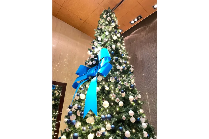 クリスマスイルミネーション【シェラトン都ホテル東京】_2