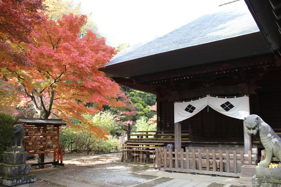 多聞院の紅葉情報