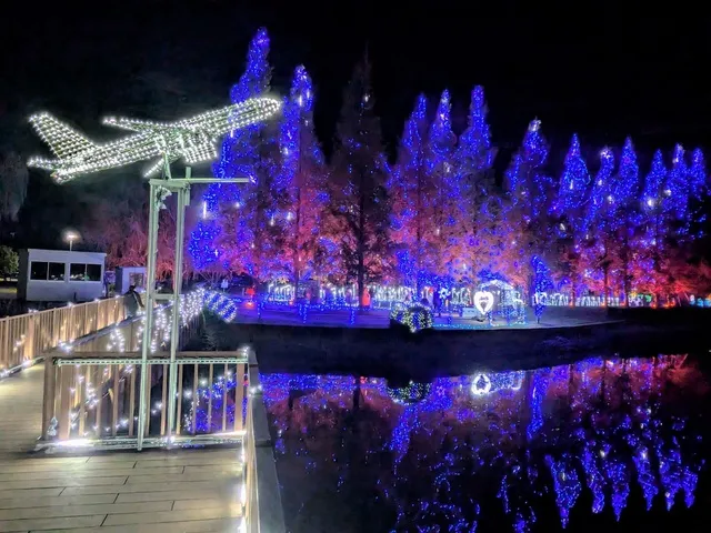 かわちイルミネーション2025