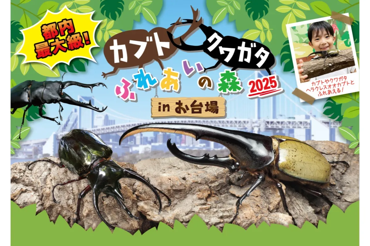 カブトクワガタふれあいの森 in お台場 2025