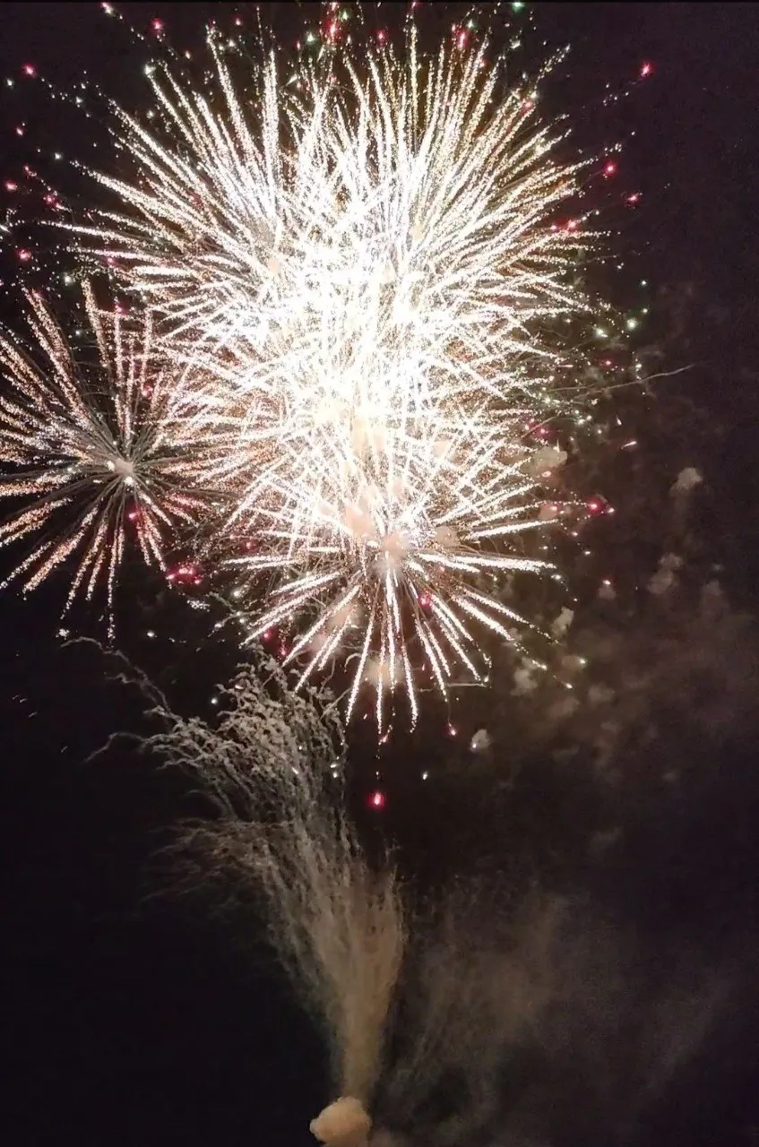 日間賀島ぎおん祭り_2