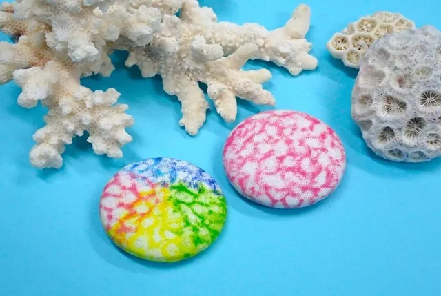 ちょっぴりワークショップ サンゴマグネット