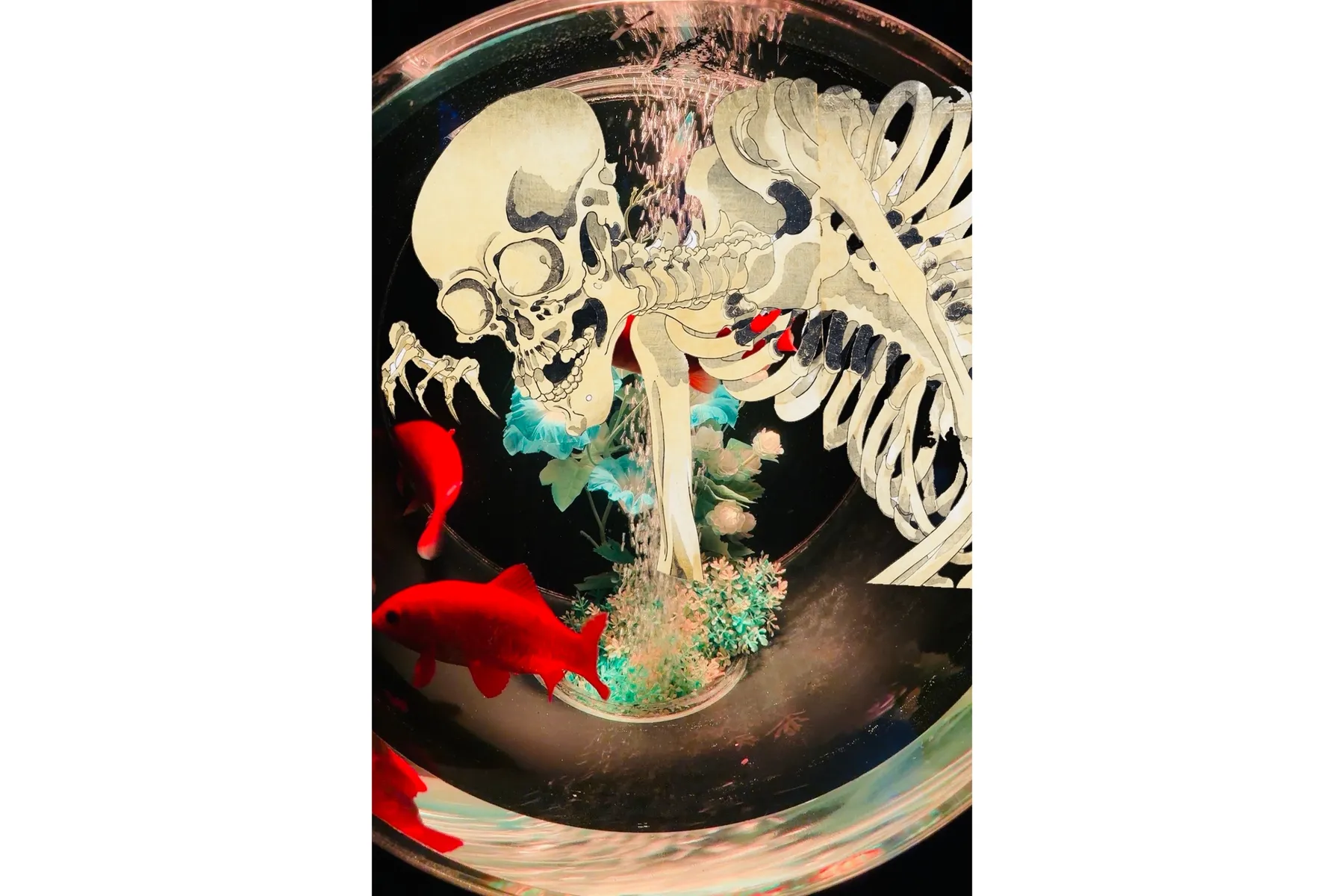 【続】怪・金魚美術館～暗闇に潜むのは～_2