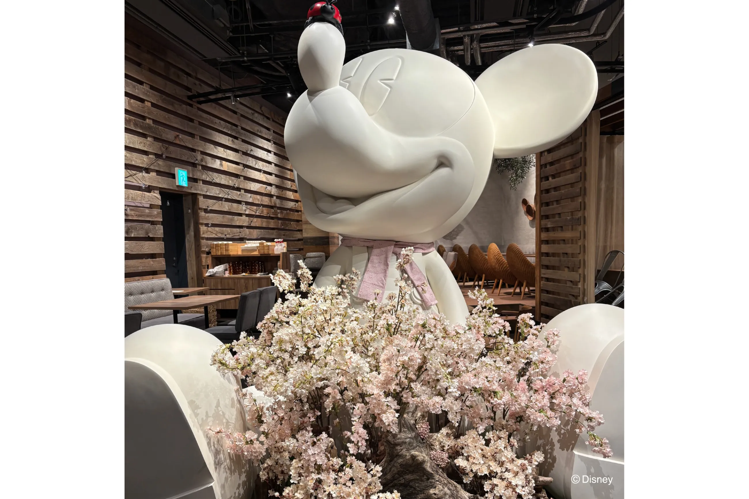 いちごと恋するピクニック♡春限定アフタヌーンティーセット