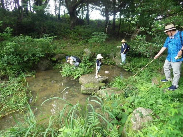 なるほど森歩き（9月）