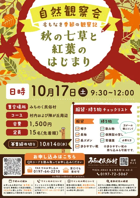 自然観察会　名もなき季節の観察記（10月）