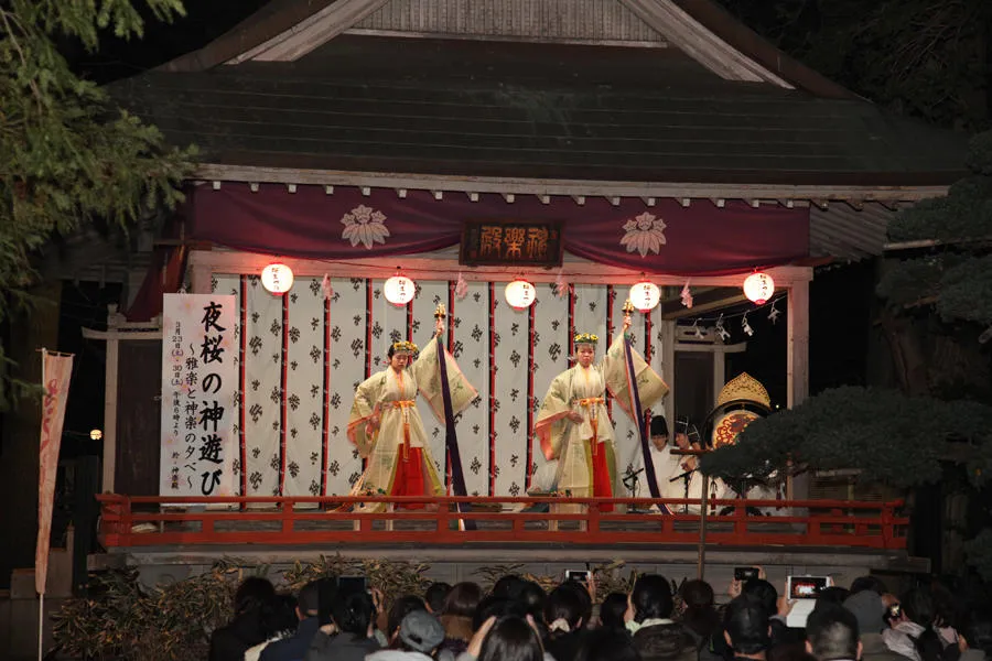 大宮八幡宮　桜祭り_4
