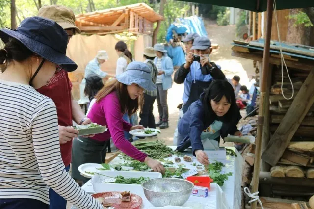 ユガテの春を楽しむ「植物観察と山菜採り」
