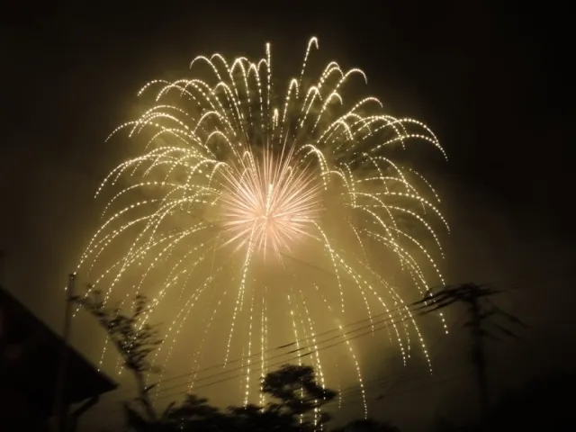 かみなか納涼祭