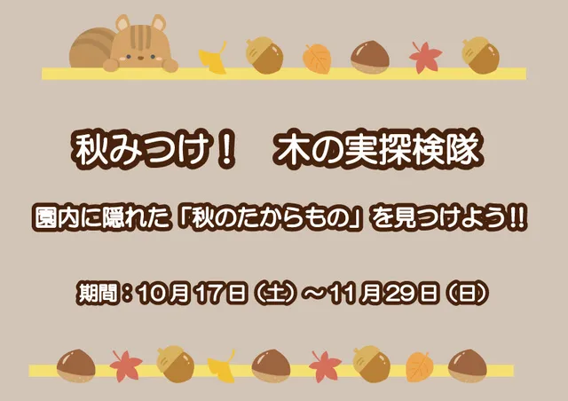 秋みつけ！木の実探検隊