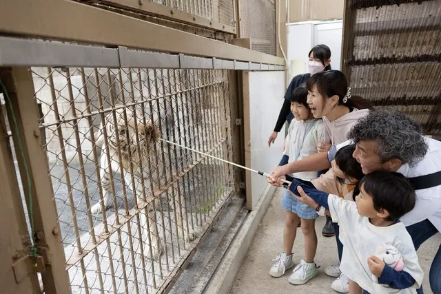 東武動物公園　アニマルディナー（エサやり体験）