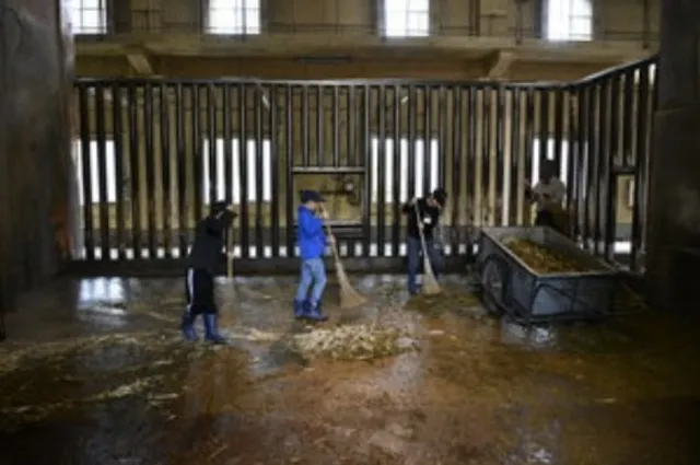 小学生の飼育体験教室