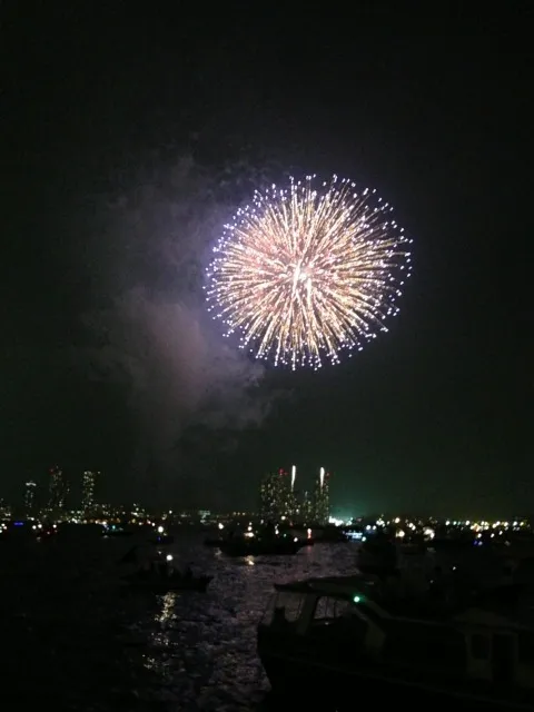 お台場花火ショー　貸切花火鑑賞クルーズ（MY3・MY7）