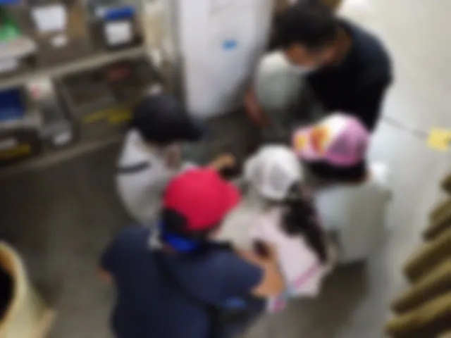 むしむしサマースクール