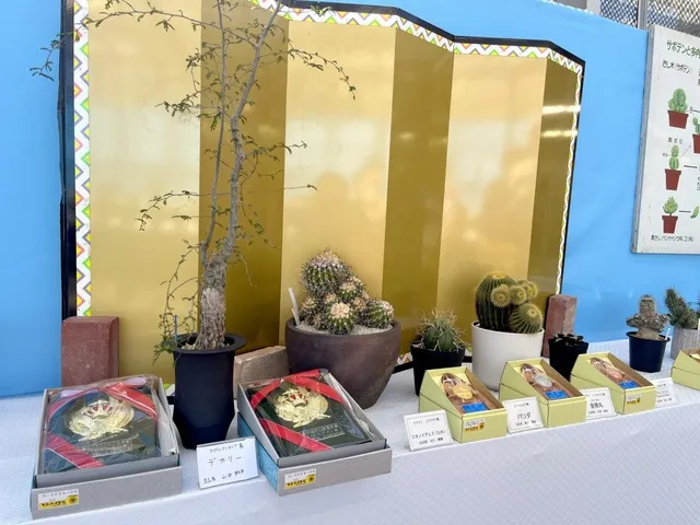 サボテン・多肉植物展