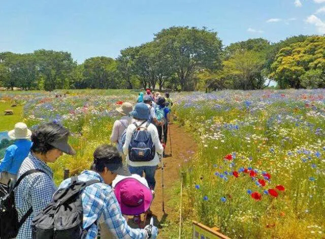国営昭和記念公園 PF ノルディックウォーキング（3月）