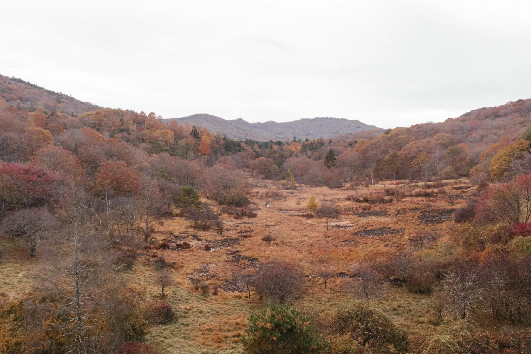 古峰ヶ原高原の紅葉情報_1