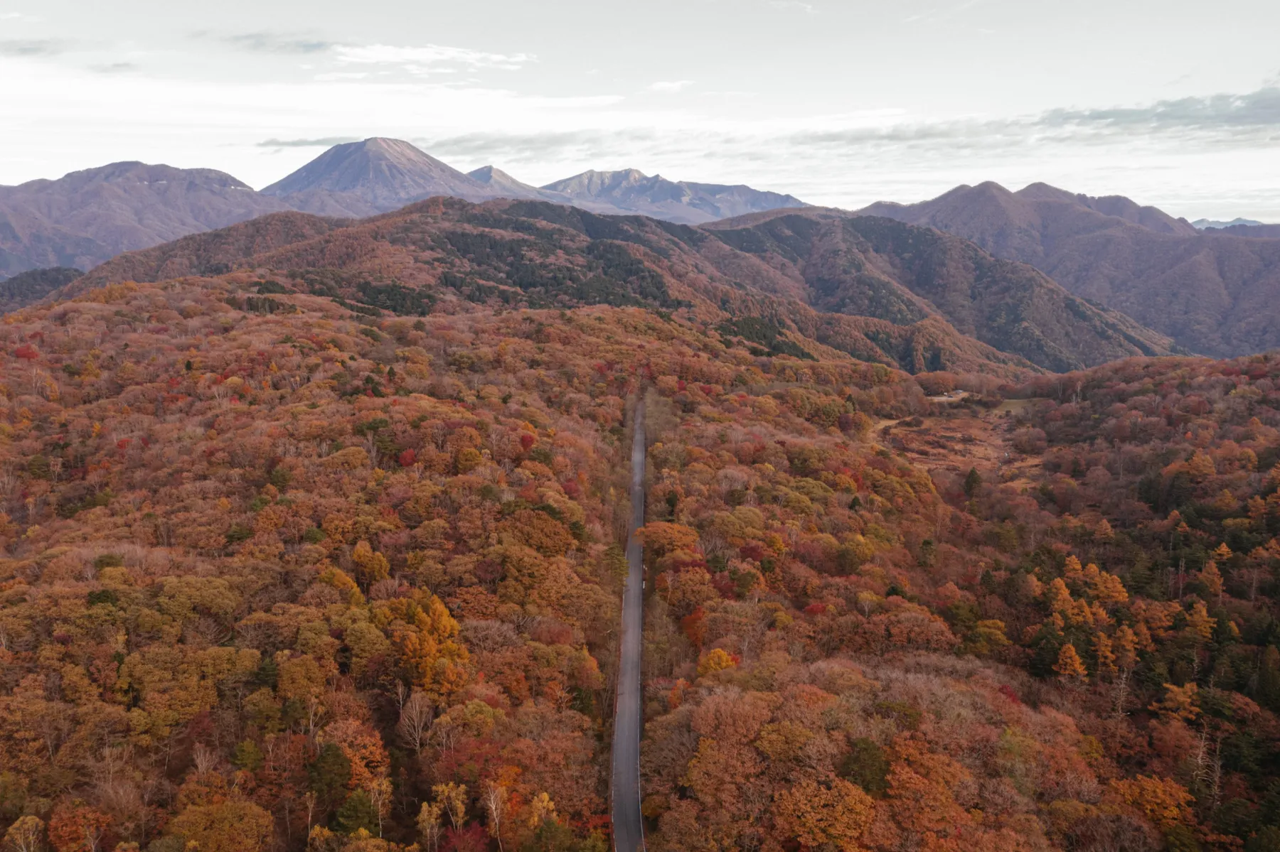 古峰ヶ原高原の紅葉情報_2