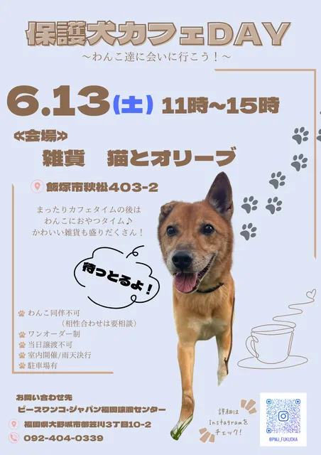 保護犬カフェDay＠雑貨 猫とオリーブ