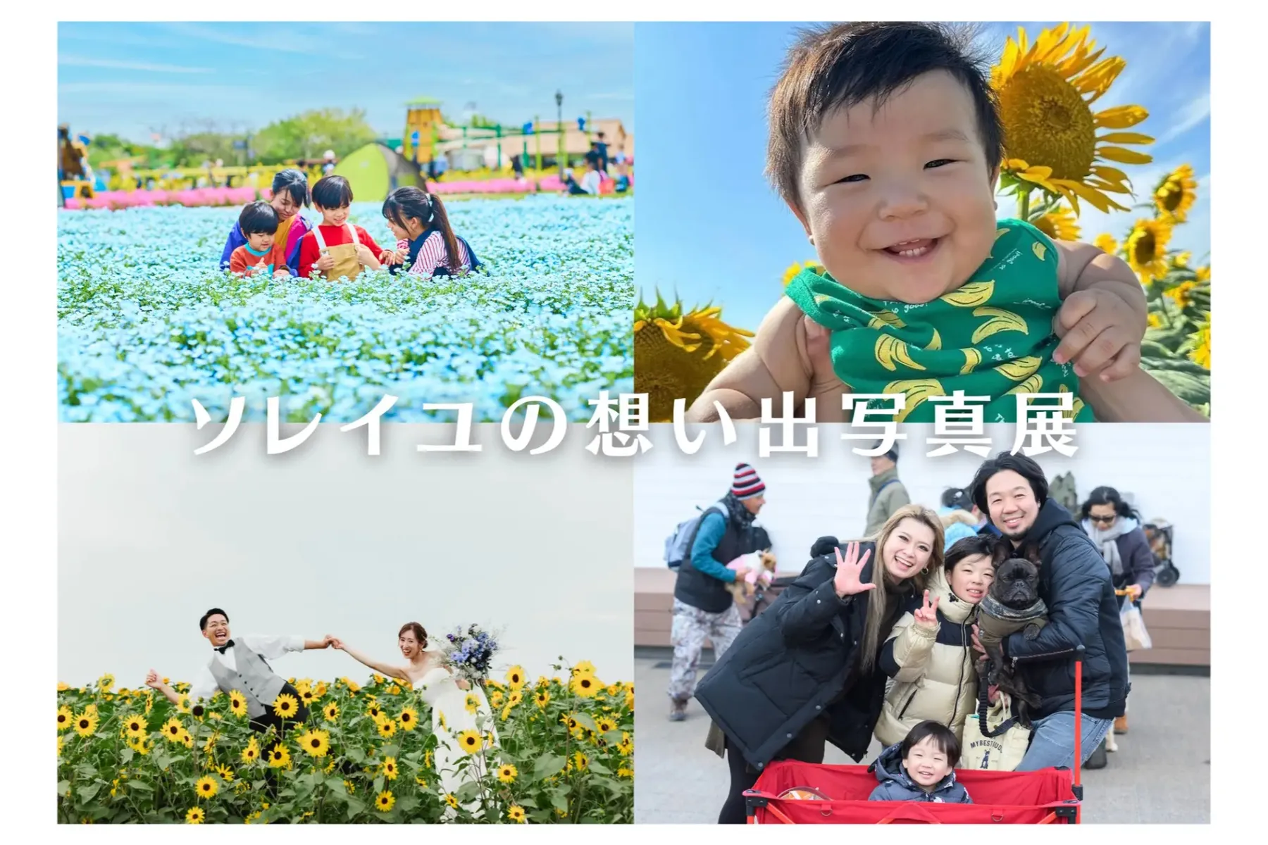 ソレイユの丘20周年記念イベント～みんなの想いが咲くところ～_2