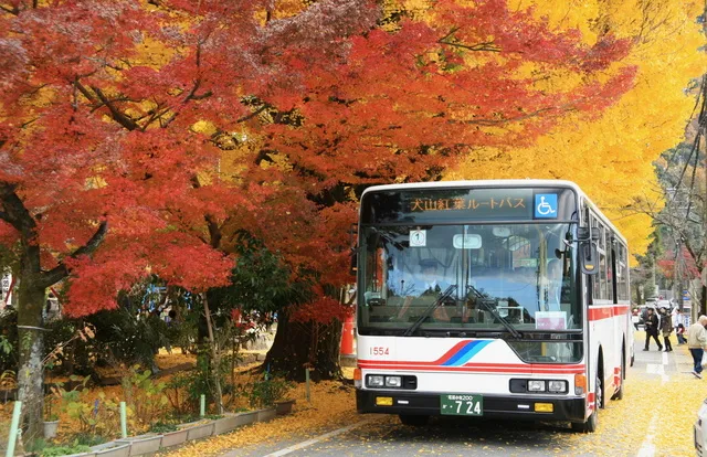 犬山紅葉ルートバス