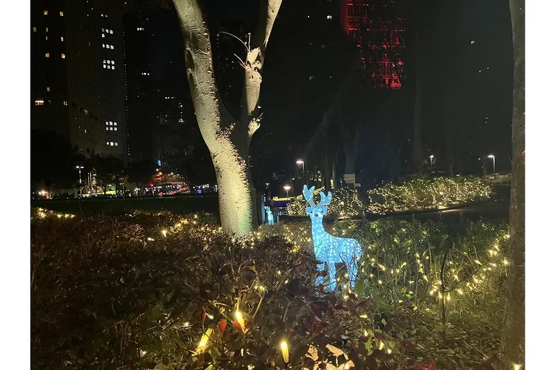 イルミネーション　TWINKLE PARK_5