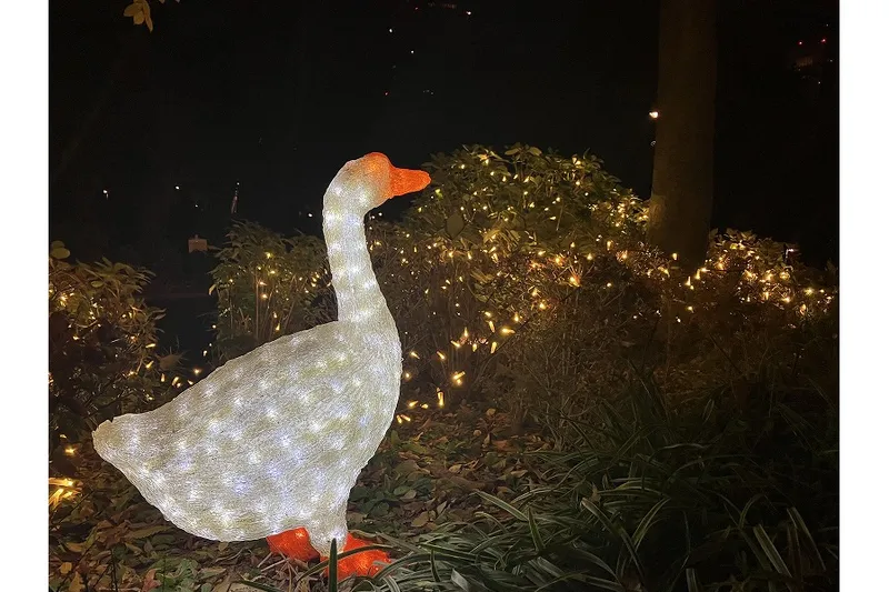 イルミネーション　TWINKLE PARK_6